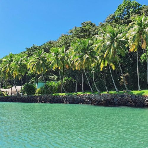 Descobrindo a Guiana: Guia Prático para Viajantes